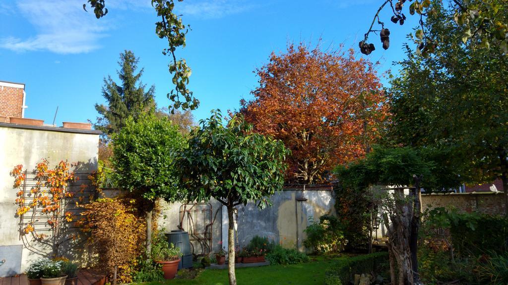 Bed & Breakfast Exterlaer Anvers Dış mekan fotoğraf